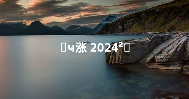 ޶ҹ涨 2024²׼